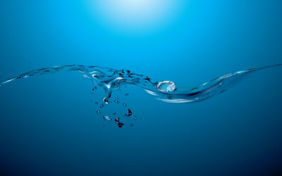 CATALOGO ATTIVITA’ 2021/2022